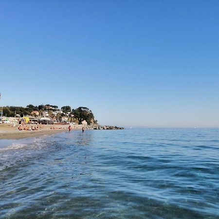 Albergo Blue Fish Albisola Superiore Εξωτερικό φωτογραφία